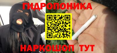 не бодяженный Камышлов