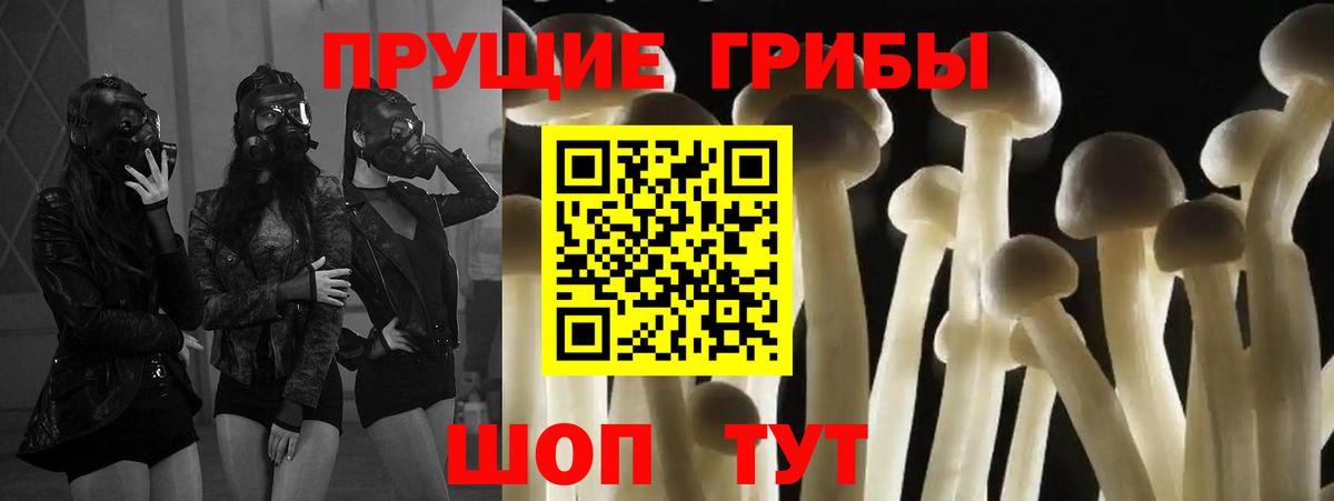 Псилоцибиновые грибы прущие грибы Калуга